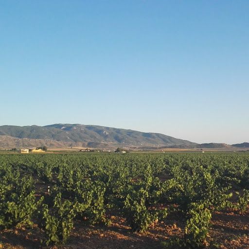 El PSOE pide al Gobierno Municipal que endurezca la Ordenanza de caminos rurales frente a los purines porcinos - 1, Foto 1