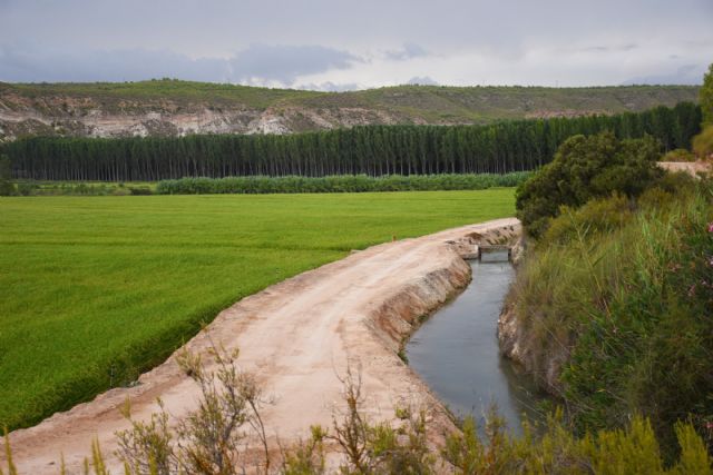 Vuelven las rutas y los paseos turísticos por la vega arrocera de Calasparra, para recibir el otoño - 2, Foto 2