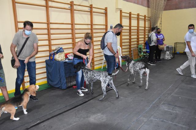 XIV Concurso Nacional Canino de Calasparra - 3, Foto 3