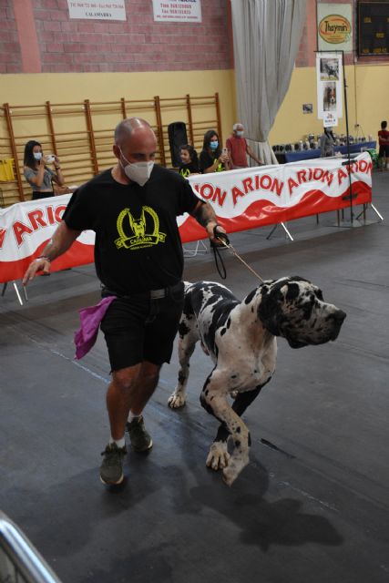 XIV Concurso Nacional Canino de Calasparra - 4, Foto 4