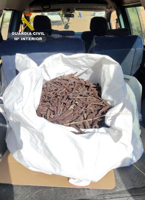La Guardia Civil desarticula tres grupos delictivos dedicados a sustraer productos agrícolas en Mula - 5, Foto 5