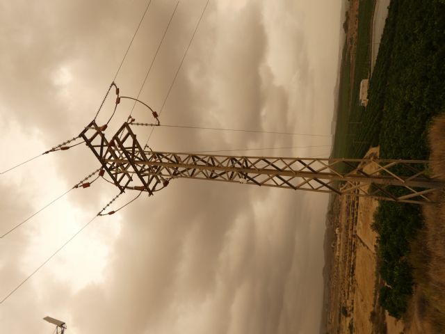 La colaboración ciudadana permite aflorar un grave caso de presunta electrocución de aves - 2, Foto 2