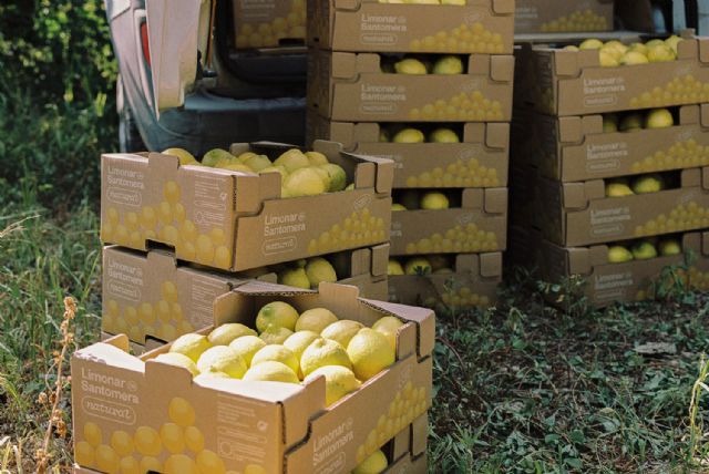 La cooperativa murciana lidera la producción y distribución de limones - 1, Foto 1