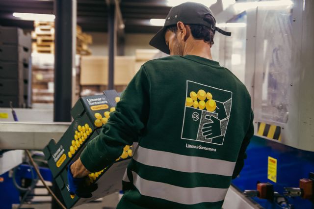 La cooperativa murciana lidera la producción y distribución de limones - 2, Foto 2