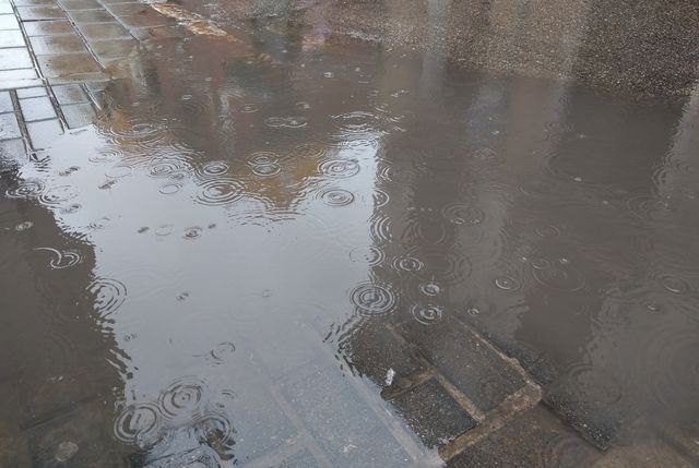 Asaja Murcia valora “muy positivamente” las lluvias caídas en la Región de Murcia