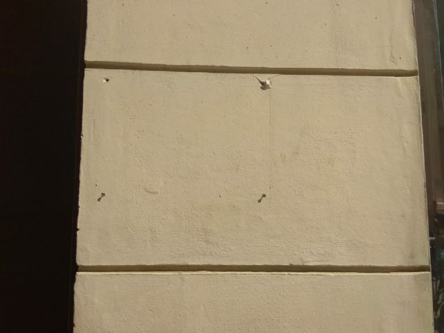 Vox denuncia el robo de la placa de su sede en Cartagena - 3, Foto 3