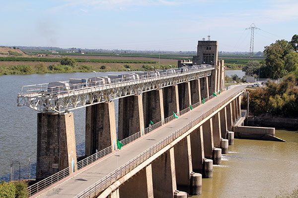Engalanar sus balcones y fachadas con colgaduras verdes con motivo del 50 Aniversario de Coronación de la Virgen de las Angustia de Alcalá del Río - 1, Foto 1