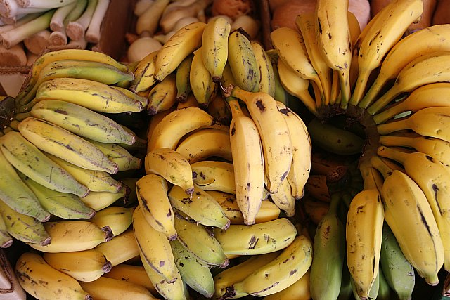 Foto: <a href=https://sp.depositphotos.com/ rel=nofollow target=_blank>Depositphotos</a>, Foto 1