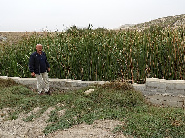 Atentado ecológico en el río Turrilla de Lorca - 1, Foto 1