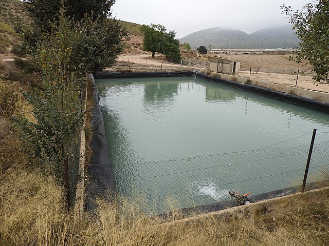 Atentado ecológico en el río Turrilla de Lorca - 4, Foto 4
