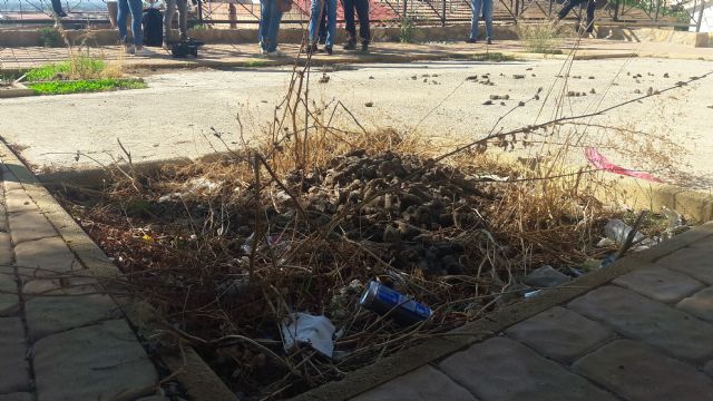 El abandono de los barrios altos y el casco histórico provoca focos de insalubridad en varias calles de San Pedro y Santa María, repletas de heces y basura - 3, Foto 3