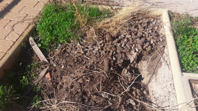 El abandono de los barrios altos y el casco histórico provoca focos de insalubridad en varias calles de San Pedro y Santa María, repletas de heces y basura - 4, Foto 4