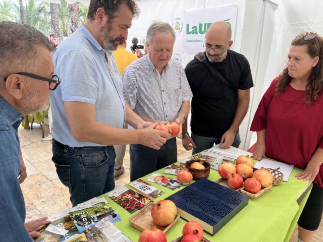 Vicentina Navarro gana el concurso de pelar granada mollar de Elche y el de la más bonita por tercer a&ntilde;o consecutivo - 4, Foto 4