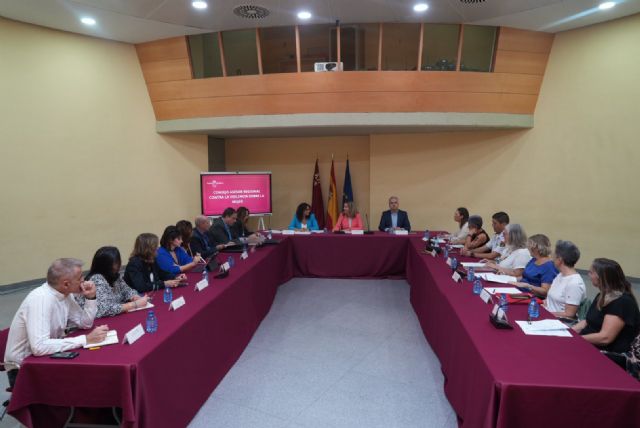 La Comunidad convoca al Consejo Asesor Regional contra la Violencia sobre la Mujer para abordar los fallos en las pulseras antimaltrato - 2, Foto 2