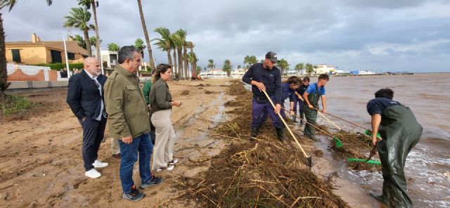 El Gobierno regional despliega casi un centenar efectivos para reforzar la retirada de biomasa en el Mar Menor tras la dana 'Alice' - 1, Foto 1