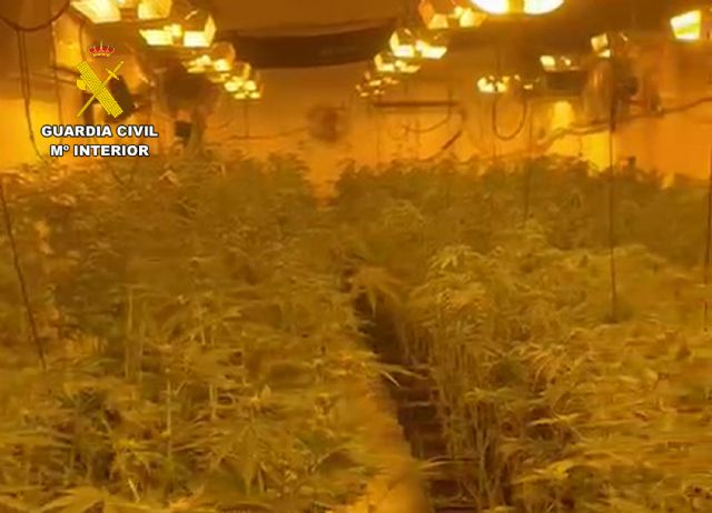 La Guardia Civil desmantela en Totana un invernadero con gran cantidad de marihuana, Foto 7