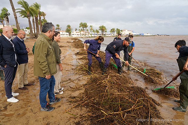 La retirada de arrastres y la limpieza de barro en zonas afectadas por el temporal centran los trabajos en el litoral sur del Mar Menor - 1, Foto 1