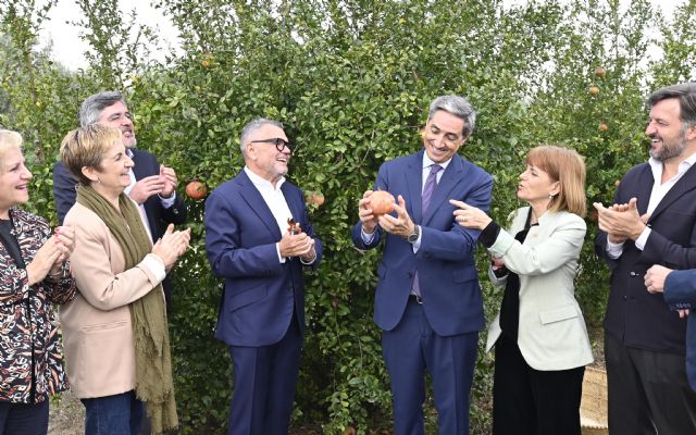 La Denominación de Origen de la Granada Mollar de Elche reivindica la calidad e innovación en su inicio de campaña - 1, Foto 1