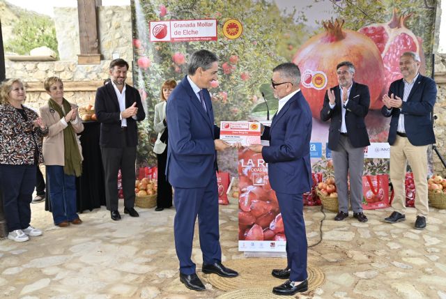 La Denominación de Origen de la Granada Mollar de Elche reivindica la calidad e innovación en su inicio de campaña - 2, Foto 2