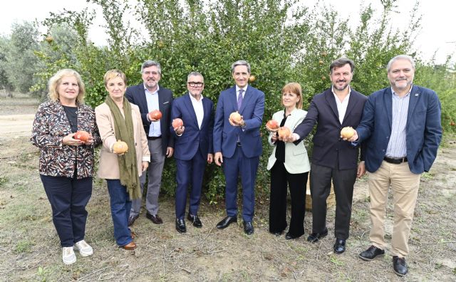 La Denominación de Origen de la Granada Mollar de Elche reivindica la calidad e innovación en su inicio de campaña - 5, Foto 5