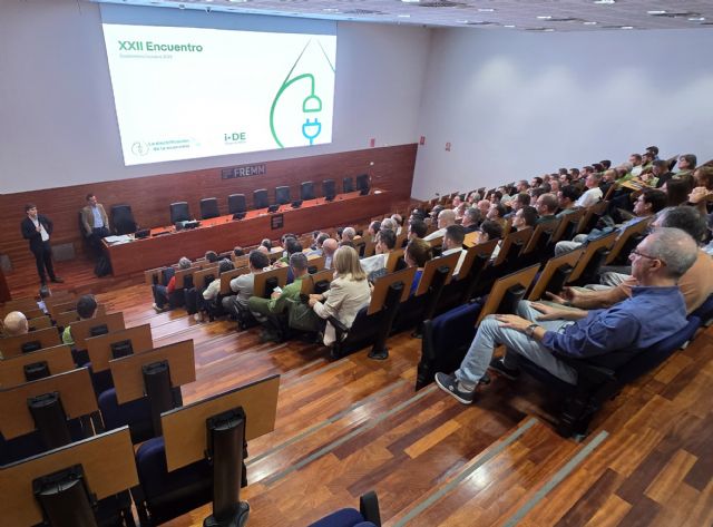 i-DE destaca en la Región la importancia de la electrificación de la economía como impulso a la competitividad - 2, Foto 2