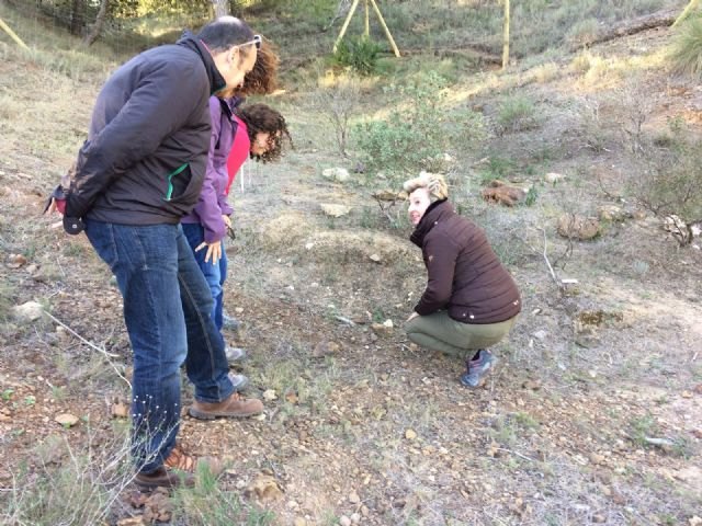La Comunidad crea seis nuevos núcleos de población de jara de Cartagena, especie en peligro crítico de extinción - 1, Foto 1