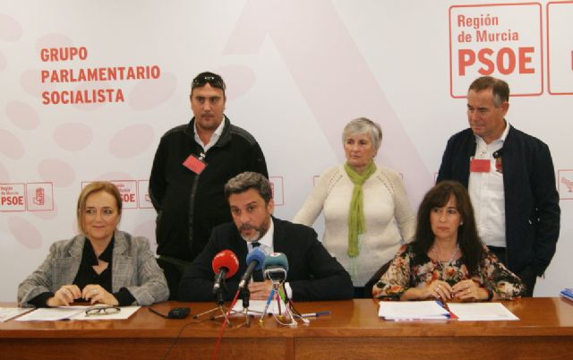 El PSOE reclama un Plan Regional que aborde los efectos del Síndrome Alcohólico Fetal - 1, Foto 1