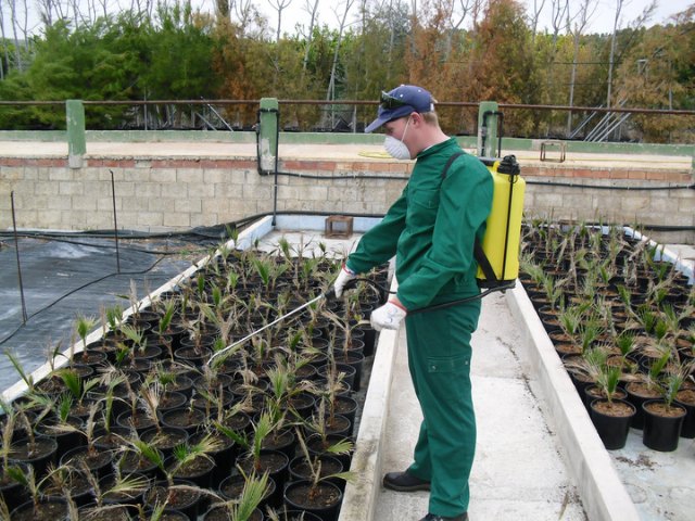 Una jornada difundirá los beneficios de que las administraciones contraten con los centros especiales de empleo - 1, Foto 1