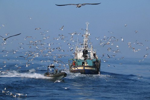 Prorrogado el acuerdo de pesca entre la Unión Europea y Mauritania - 1, Foto 1