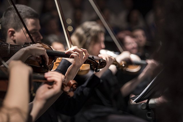 La Confederación Española de Sociedades Musicales logra el apoyo del Senado para rebajar el IVA de los instrumentos al 10% - 1, Foto 1