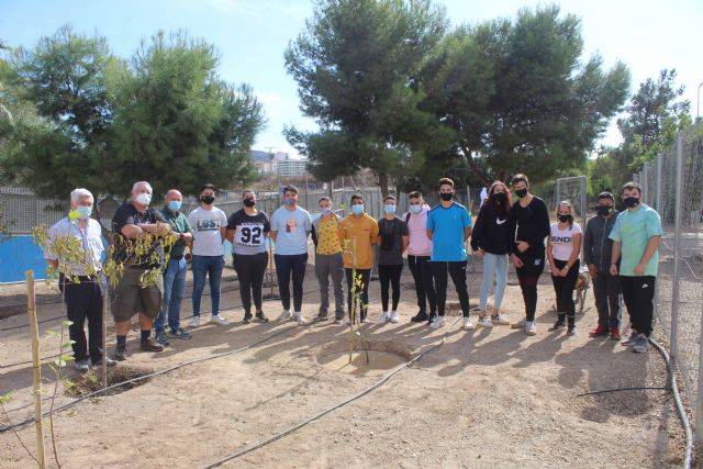 Resucitando a un manzano - 1, Foto 1