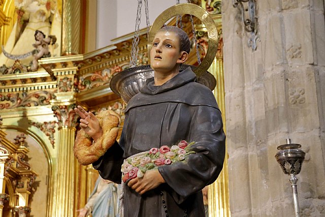 Cogolludo celebra su fiesta patronal de San Diego de Alcalá, protector de pandemias en la villa serrana - 1, Foto 1