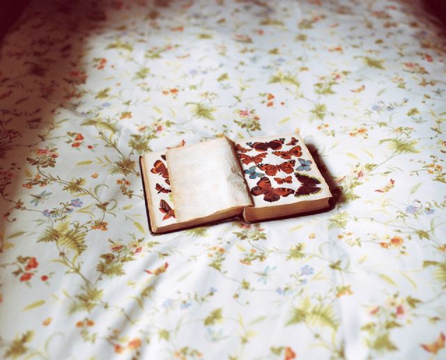 El ciclo de conferencias 'Full Frame' del Cendeac concluye con la visita de la fotógrafa Bego Antón - 2, Foto 2