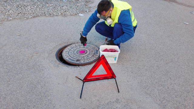 El Ayuntamiento pone en marcha una campaña de desratización en todo el término municipal - 1, Foto 1