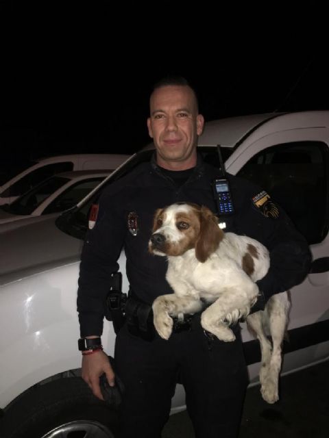 Agentes de la Policía Local salvan, gracias a la colaboración ciudadana, la vida a un perro que estuvo a punto de ahogarse en un embalse - 2, Foto 2
