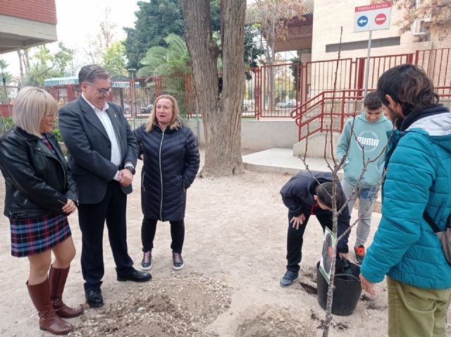 El Ayuntamiento de Murcia continúa con la plantación de más de 120 árboles frutales en los huertos escolares del municipio - 3, Foto 3