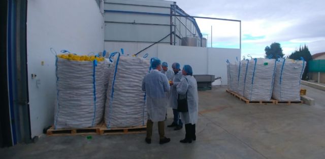 El Director del INFO visita hoy las instalaciones de Emily Foods - 3, Foto 3