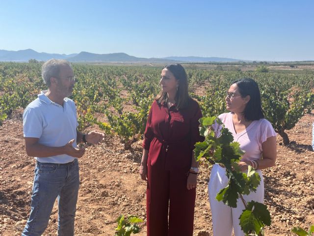 La Comunidad concede más de 775.000 euros a 300 viticultores que han reducido sus ingresos por la producción - 1, Foto 1