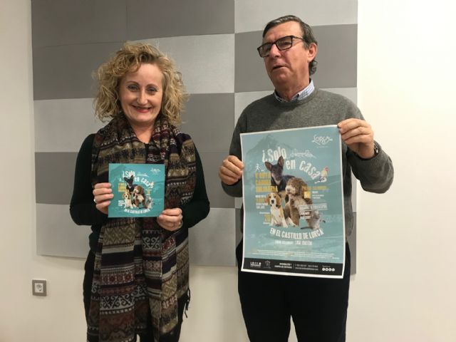 Lorca celebra la festividad de San Antón, patrón de los animales, con una ruta canina solidaria al Castillo y la bendición de mascotas - 1, Foto 1