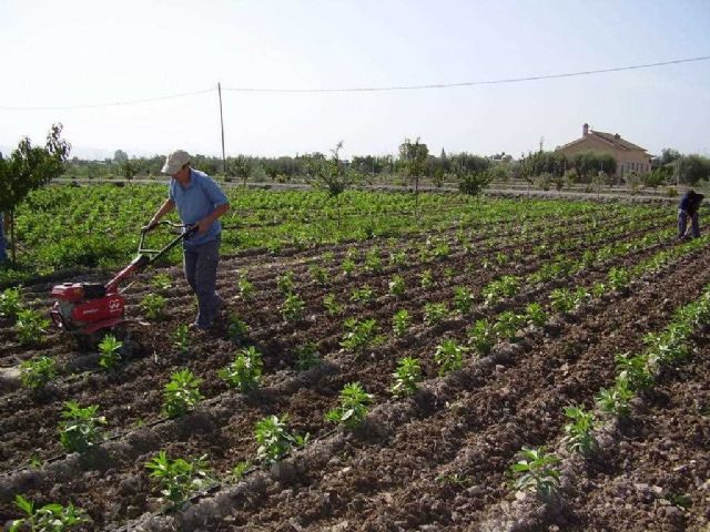 IU Lorca pide que la CARM apueste por el consumo de alimentos ecológicos en los comedores escolares y de los hospitales de la Región - 1, Foto 1