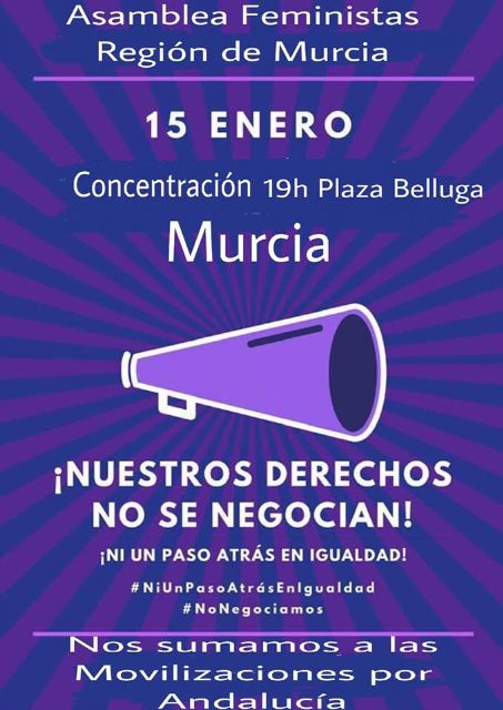 IU-Verdes llama a la ciudadanía a movilizarse en defensa de los derechos de las mujeres ante la entrada de formaciones políticas con discursos misóginos a las instituciones - 1, Foto 1