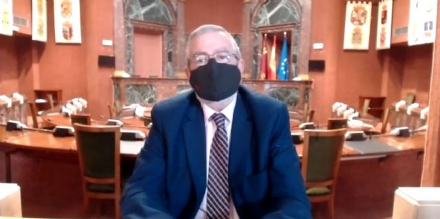 Aldeas Infantiles celebra, en colaboración con la Asamblea, un pleno telemático sobre la solidaridad - 3, Foto 3