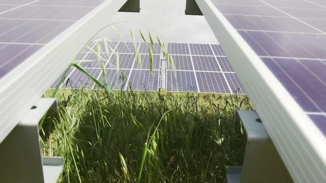 Iberdrola se consolida como el mayor promotor de energía solar en el mercado británico - 1, Foto 1