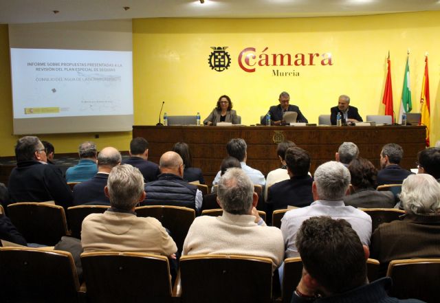 El Consejo del Agua da su conformidad a la modificación del Plan Especial de Sequias de la cuenca del Segura - 2, Foto 2