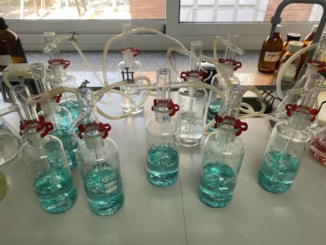 La UPCT investiga si las nuevas purpurinas se degradan en el mar con fondos de la Cátedra de Medio Ambiente - 2, Foto 2