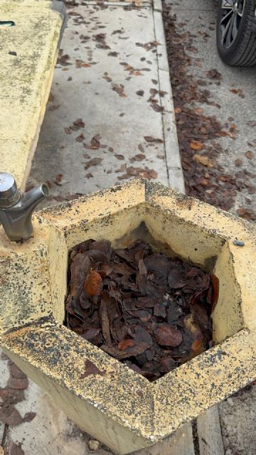 Las Cuevas del Norte, otro ejemplo del abandono que sufren las pedanías - 4, Foto 4