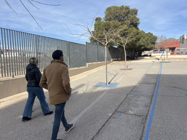 El Ayuntamiento de Jumilla inicia el Plan Sombra para naturalizar los patios escolares - 3, Foto 3