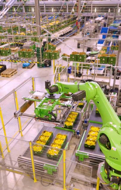 Frucimu refuerza su Dirección para consolidar su expansión y crecimiento - 3, Foto 3