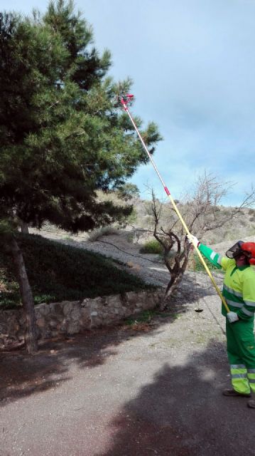 El Ayuntamiento trabaja, de forma intensiva, en eliminar cualquier resto de procesionaria en los casi 800 pinos del municipio - 1, Foto 1