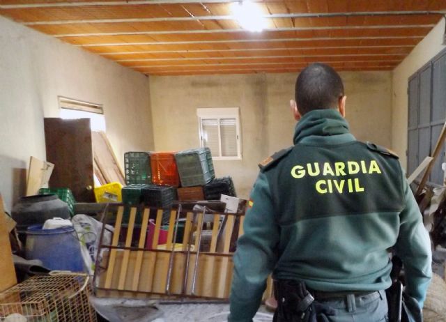 La Guardia Civil desmantela un grupo criminal al que se le atribuye una decena de robos en casas de campo de Mula - 1, Foto 1